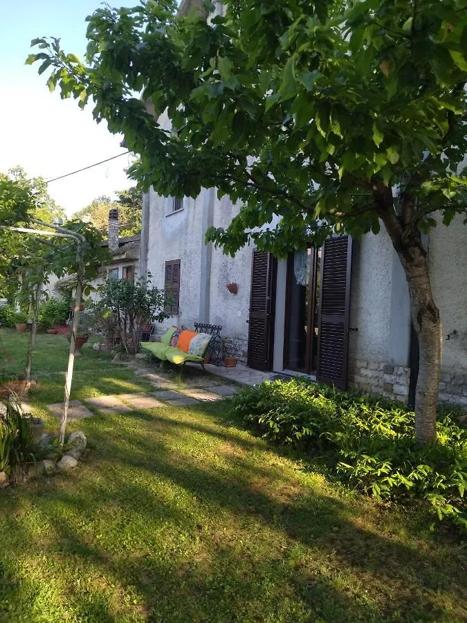 乡村民宿 塞尔苏里格 La Casa Di Cesarina旅馆 意大利