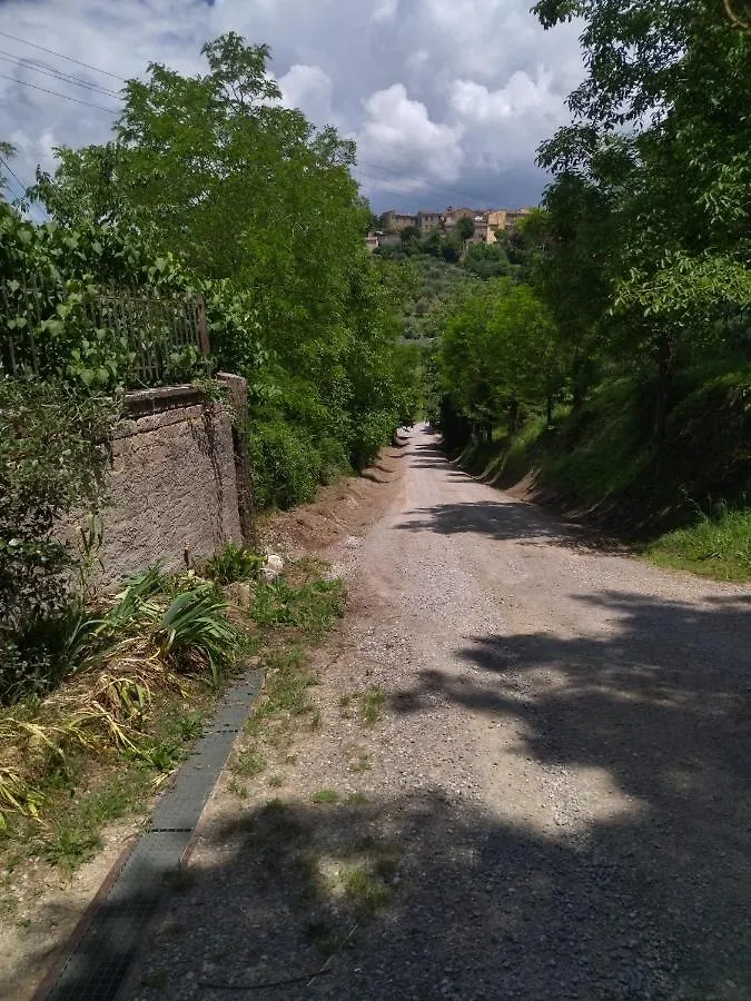 塞尔苏里格 La Casa Di Cesarina旅馆 乡村民宿